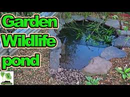 Build A Wildlife Pond For Your Garden