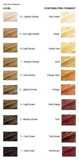 Shades In 2019 Hair Chart Level 8 Hair Color Hair Color