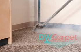 dw carpet cleaning