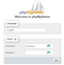 how to use phpmyadmin with wordpress