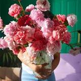 Image result for peony decoration