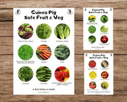Guinea Pig Fruit Veg List Chart What Vegetables Can