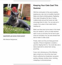 Multiple cats of many breeds have been known to puke as a defensive or instinctive reaction. The Siamese Cat Society Of Scotland Home Facebook