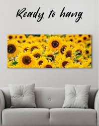 Panoramic Sunflower Field Canvas Wall
