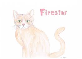 firestar hand draw warrior cats