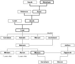 Moses Family Tree Bible Family Tree Family Tree Diagram