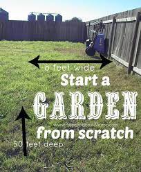 Starting A Garden From Scratch