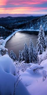 nature winter android hd phone