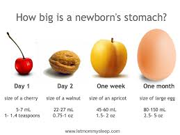 How Big Is A Newborns Stomach Let Mommy Sleep