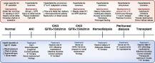 Image result for icd 10 code for acute renal failure with hyperkalemia