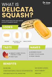delicata squash nutrition facts health