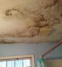 mold problem in the bathroom
