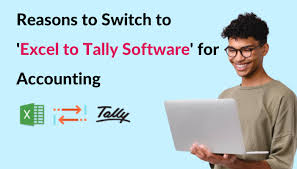 excel to tally software