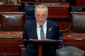 schumer calls for new elections in