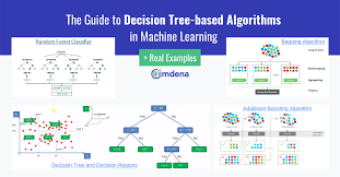 tree based algorithms in machine learning