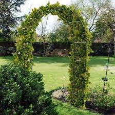 2 4m metal garden arch archway ivy rose