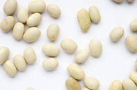 the health benefits of white beans