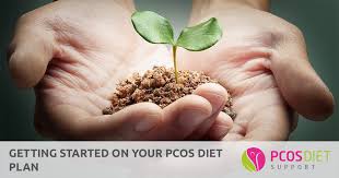 Getting Started On Your Pcos Diet Plan Pcos Diet Support