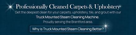 steam cleaning carpets rugs
