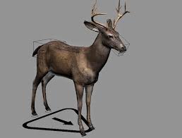 deer rigged 3d models all design creative