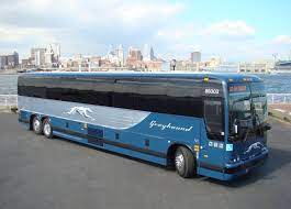who are the major bus providers in the