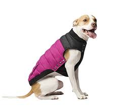 Canada Pooch Summit Stretch Puffer Dog Vest Plum Size 16