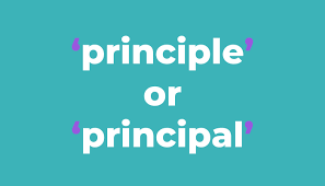 is it principle or prinl