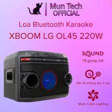 Loa karaoke LG OL45 220W - BH chính hãng