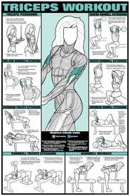 Browse Tricep Images And Ideas On Pinterest