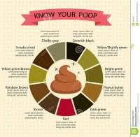 Healthy Dog Poop Chart Uk Bristol Stool Chart For Kids