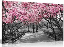 Black 26 White Wall Art Pink Blossoms