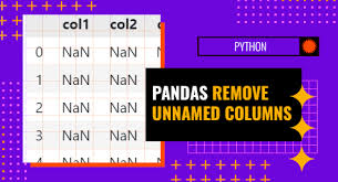 pandas remove unnamed columns