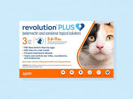 Revolution for cats is a monthly topical treatment that prevents and controls flea infestations and intestinal worm infestations. Best Flea Treatment For Cats In 2021