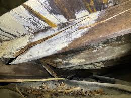 wood rot from crawl e moisture bay