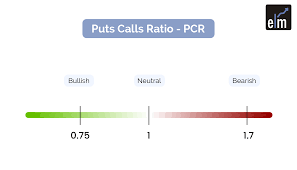 put call ratio understanding the