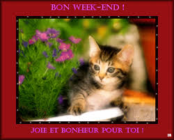 RÃ©sultat de recherche d'images pour "gif anime bon weekend chaton"