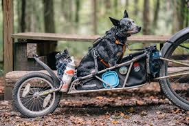 Unlike other tools in new horizons , the ladder is unbreakable. Charlie Kemp And Molly Rider S Dogpacking Rig Bikepacking Com