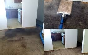 results rendon carpet floor care