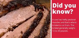 how to reheat brisket without drying it