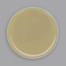 tryptic soy agar prepared a plates