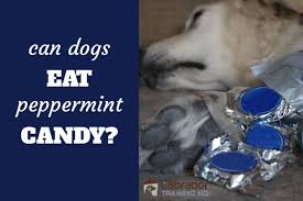 Can Dogs Eat Peppermint Candy At
