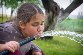 Girl Drinks Water From A Hose In The Garden