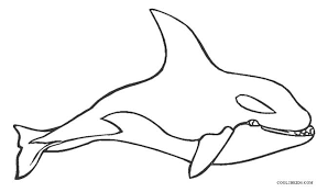 There's something for everyone from beginners to the advanced. Printable Whale Coloring Pages For Kids
