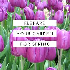 spring garden prep get ready for the