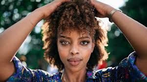 While below we've split the products up into various sections, here are out top few picks overall the satin will be smooth against your hair and help prevent any breakage. Best Organic Hair Products For African Americans Bye Bye Parabens