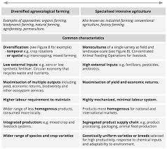 Do agricultural societies do well in economics ❤️ Updated 2022