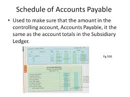 Special Journals Purchases And Cash Payments Ppt Video