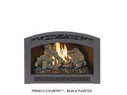 Fireplace Xtrordinair Dvs Deluxe Ember