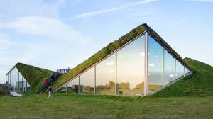 green roofs everything you need to