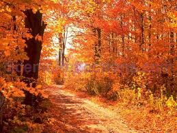 colors of autumn free screensaver